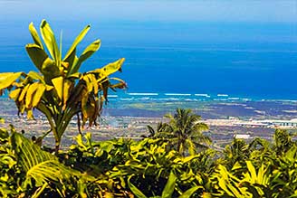 Kauaibeach view